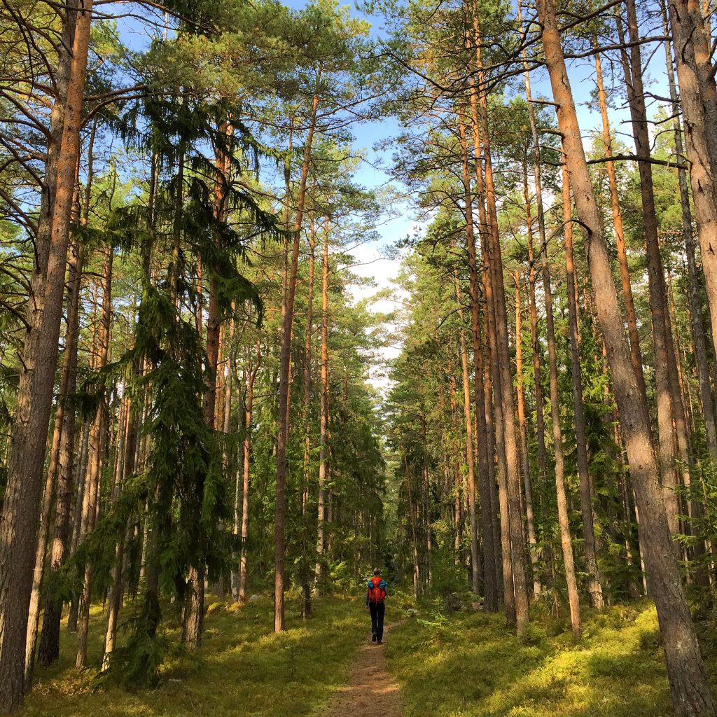 estland lahemaa nationalpark