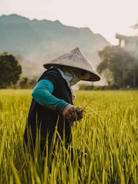 Mai Chau – Nordvietnam Rundreise Sehenswürdigkeiten