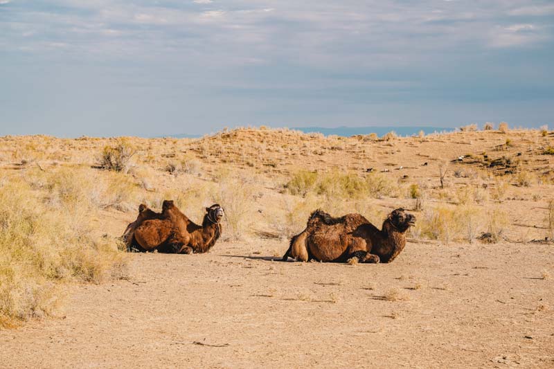 Aydarsee – Usbekistan Wüste