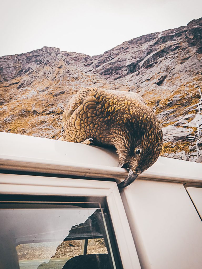 Reiseziele 2023, Reisetipps 2023 neuseeland