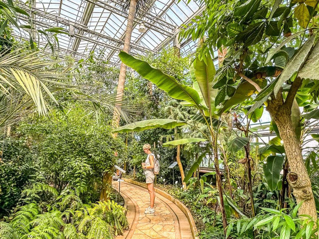 Botanischer Garten (Plantentuin)