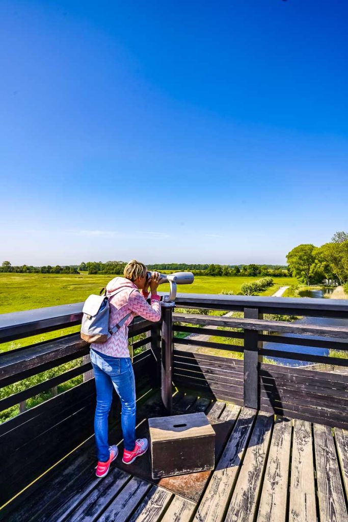Störche beobachten im Het Zwin Landschaftsschutzgebiet