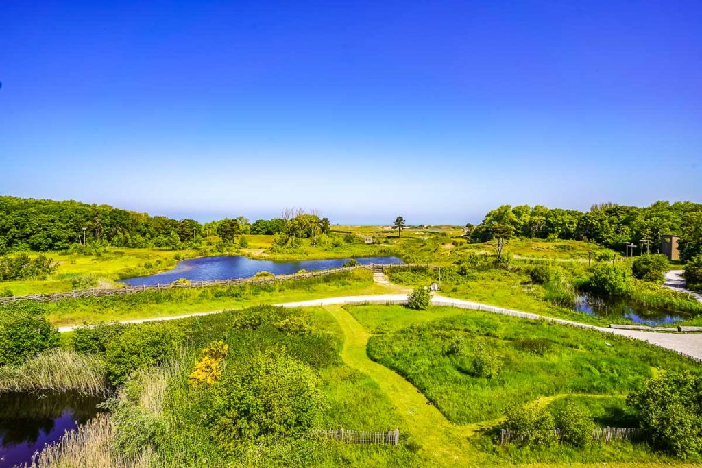 Hausboot Belgien: Störche beobachten in Het Zwin