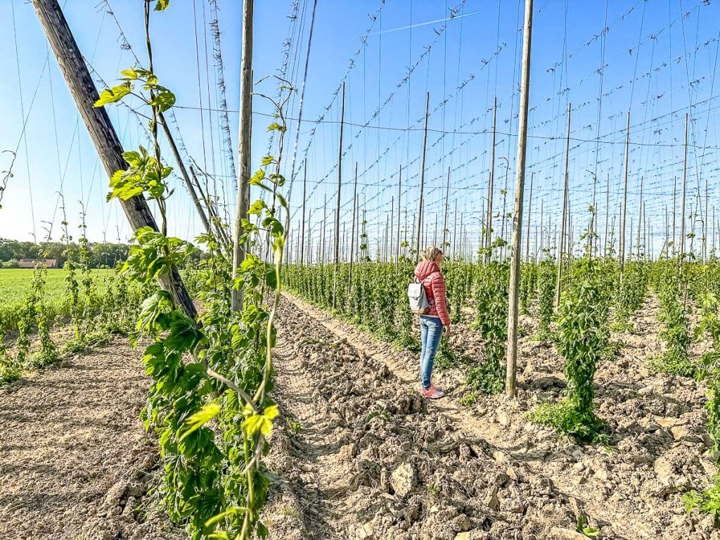 Hausboot-Belgien Sankt Sixtus Abbey