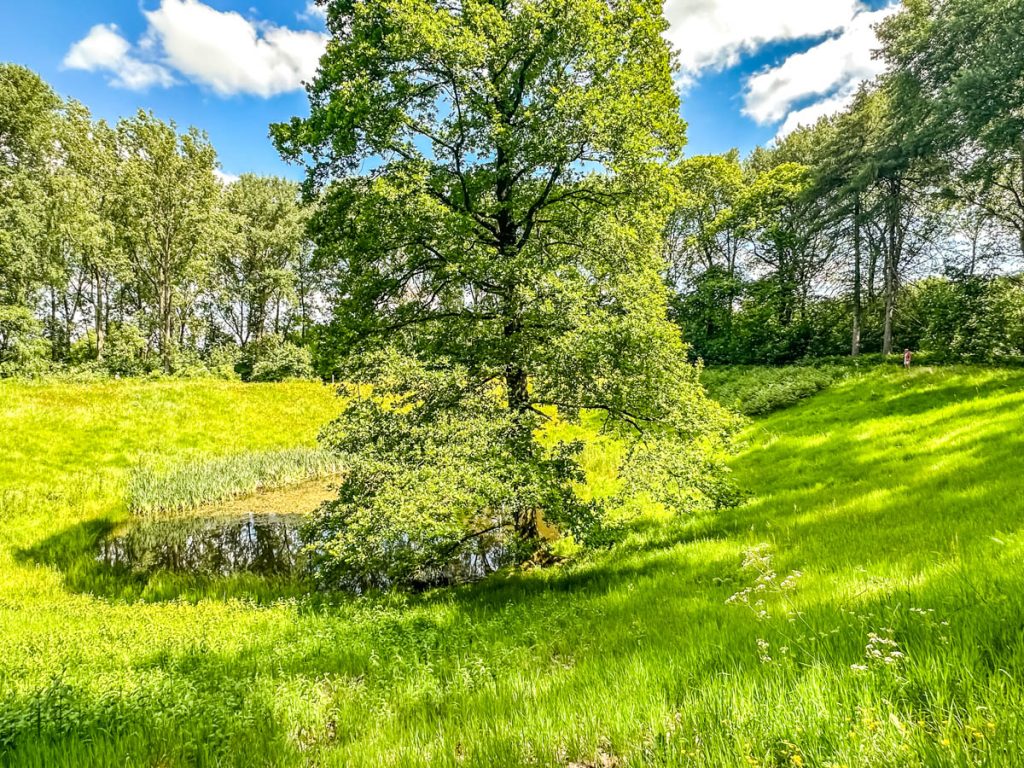 Hausboot Urlaub in Belgien: Mit dem Fahrrad entlang der Westfront