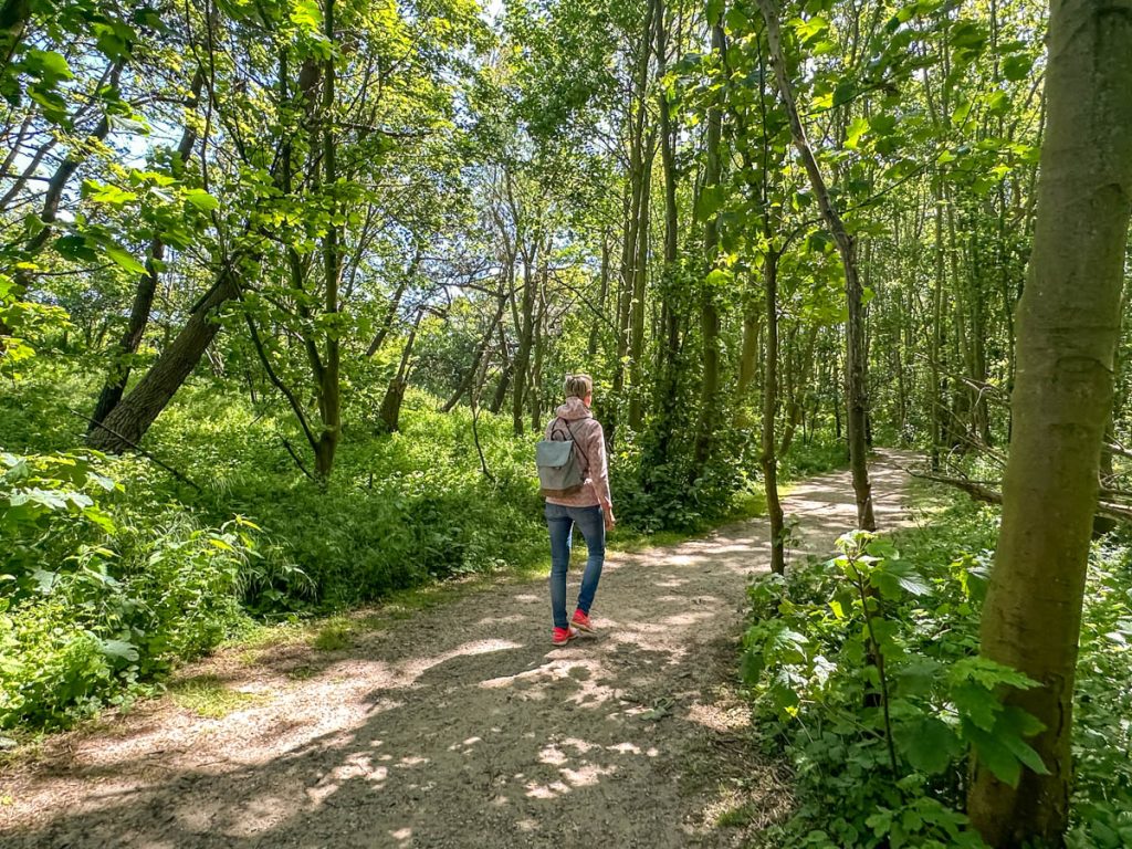 Schöne Wanderungen im Het Zwin Park