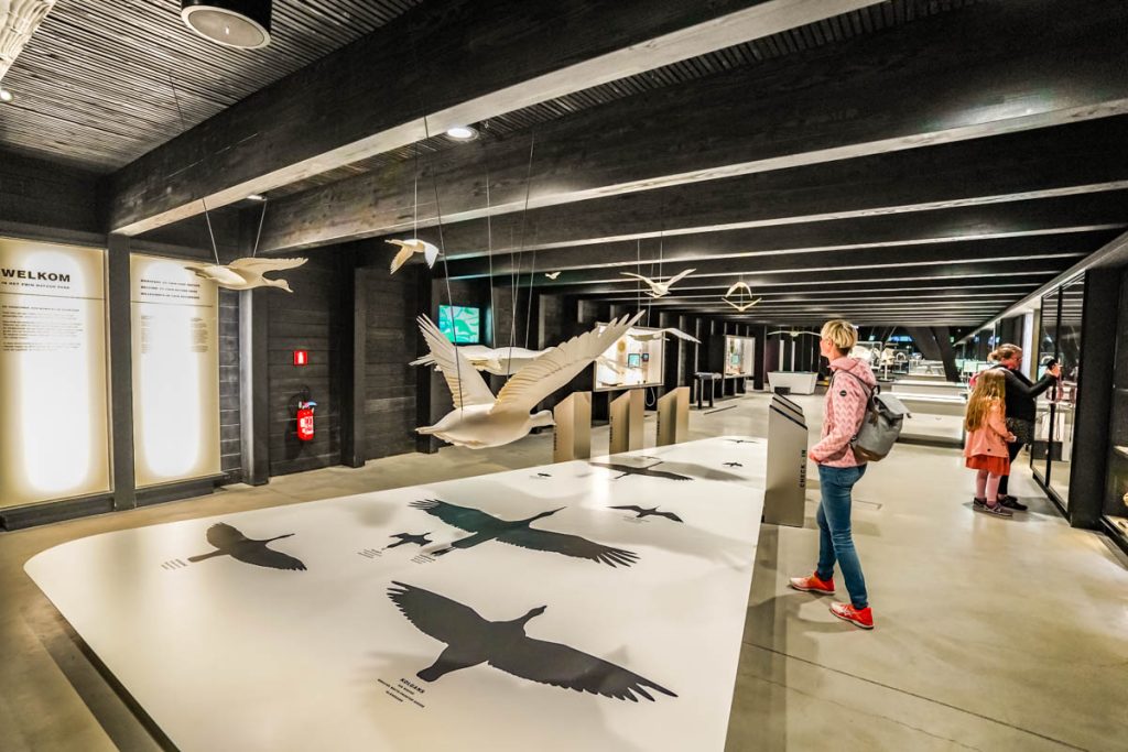 Das Museum zur Migration der Vögel im Het Zwin Naturpark, Belgien