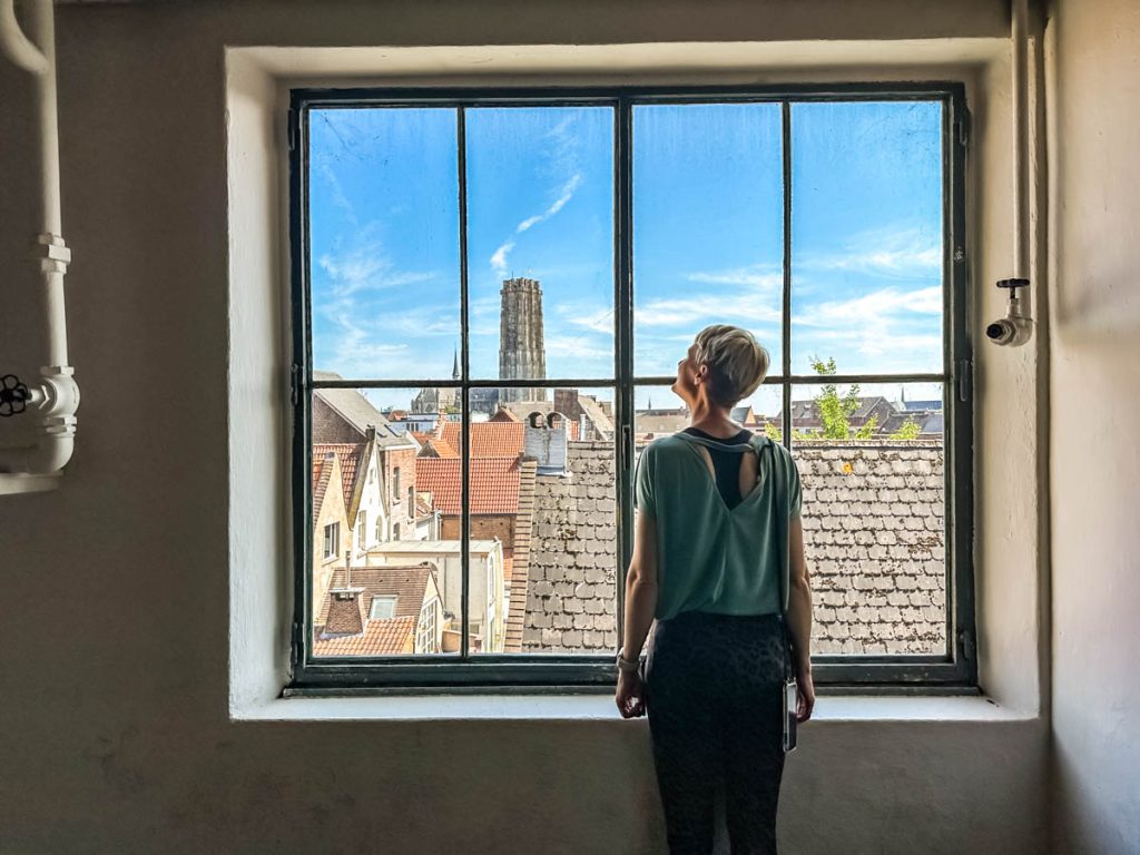Blick auf Mechelen mit dem Sint Romboutstoren