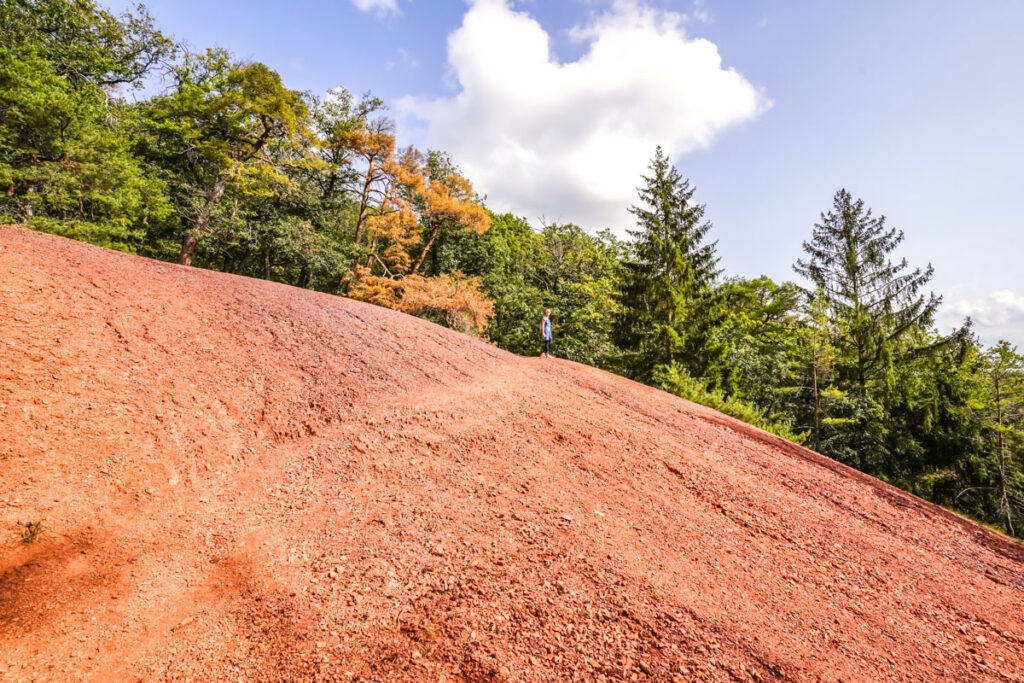 Die „Rote Halde“ Ausflugsziele in der Pfalz