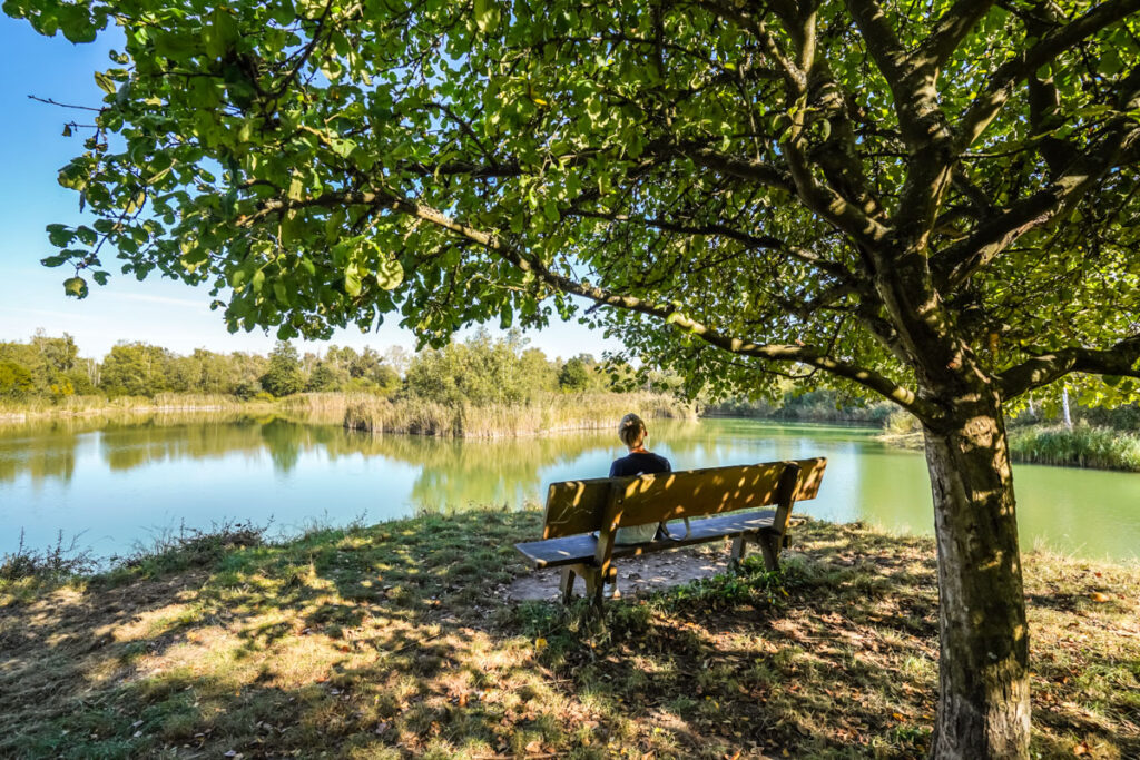 Wunderschöne Natur im Landschaftsschutzgebiet Erdekaut - Ausflugsziele in der Pfalz