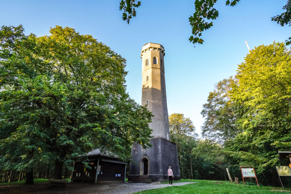 Ausflugsziele Pfalz: Der Ludwigsturm auf dem Donnersberg
