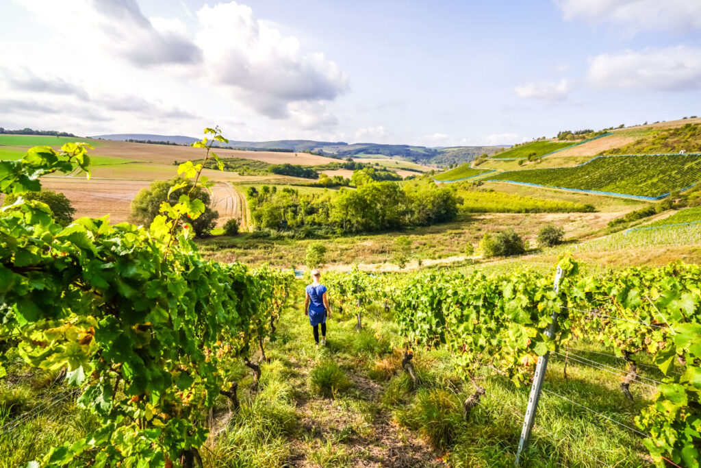 Weingut Hahnmühle in der Pfalz