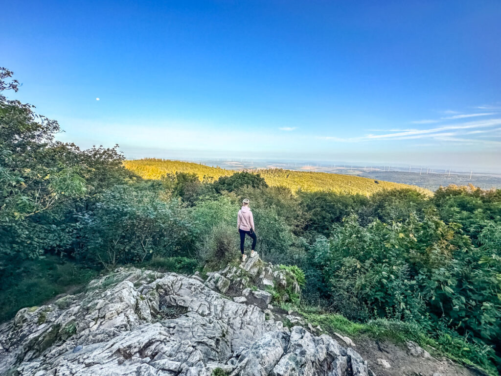Blick vom Königstuhl, dem höchsten Punkt in der Pfalz
