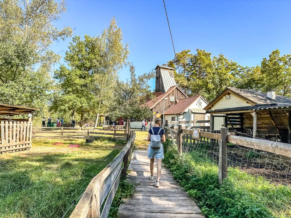 Wunderschöne Natur im Landschaftsschutzgebiet Erdekaut - Ausflugsziele in der Pfalz