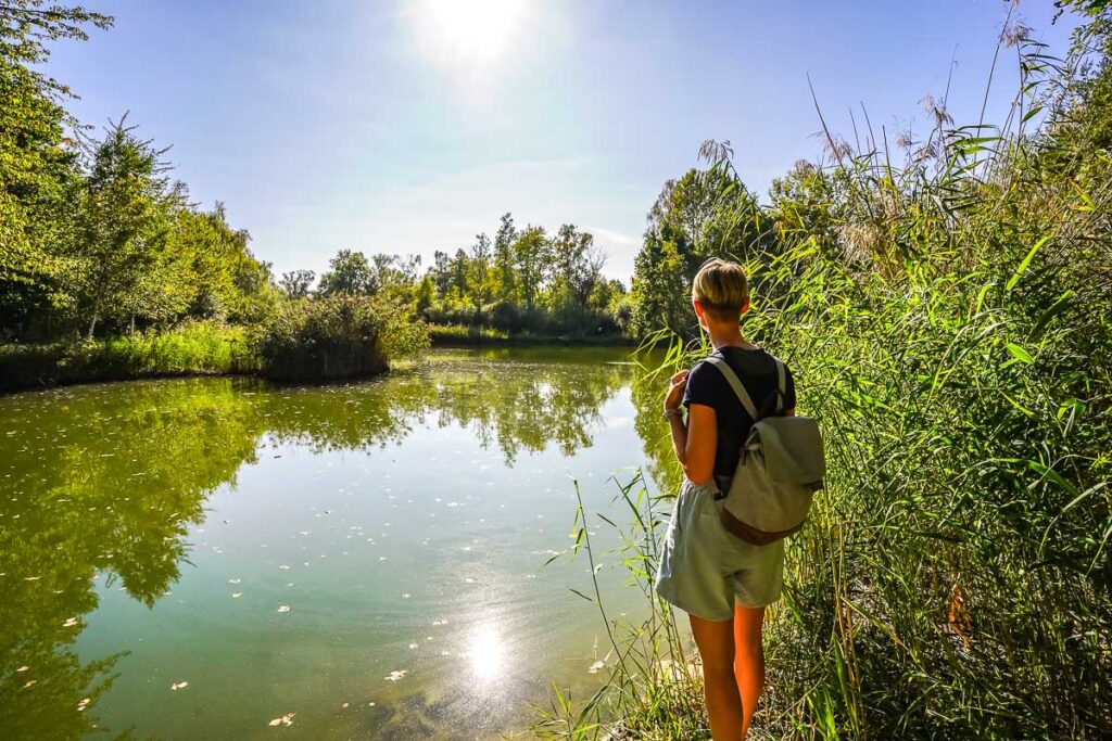 Wunderschöne Natur im Landschaftsschutzgebiet Erdekaut - Ausflugsziele in der Pfalz