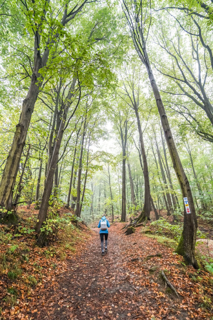 Der Keltenweg hinauf zum Staffelberg