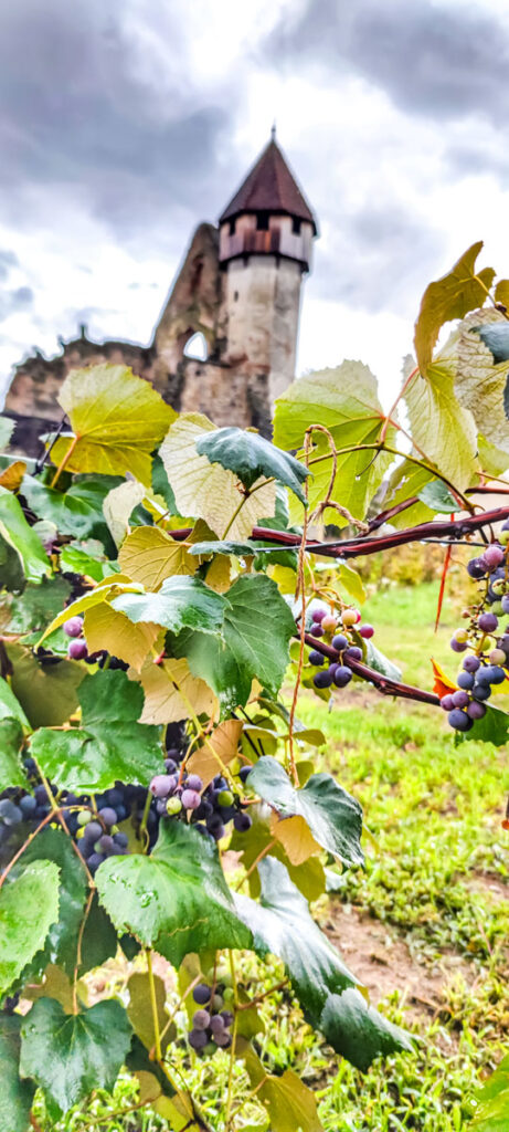 Kloster Oberkerz in Rumänine
