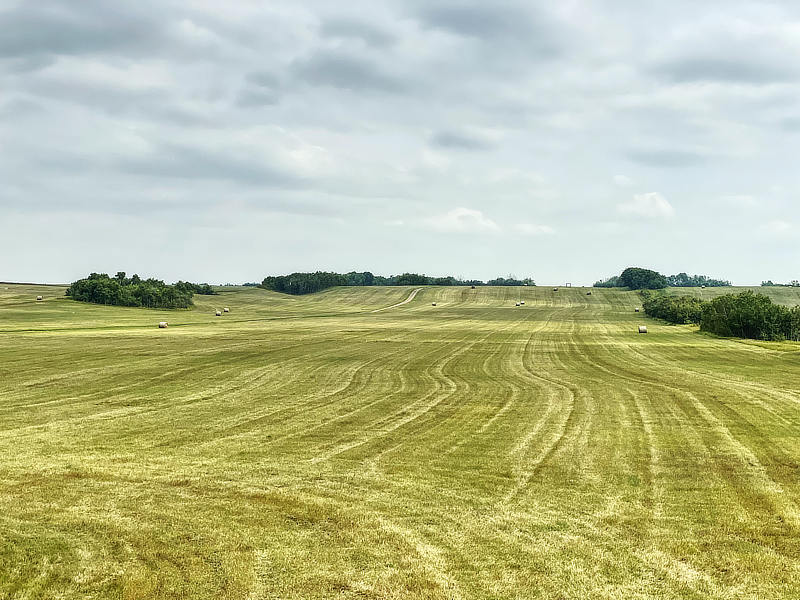 Grasstreifen, Batoche, Saskatchewan