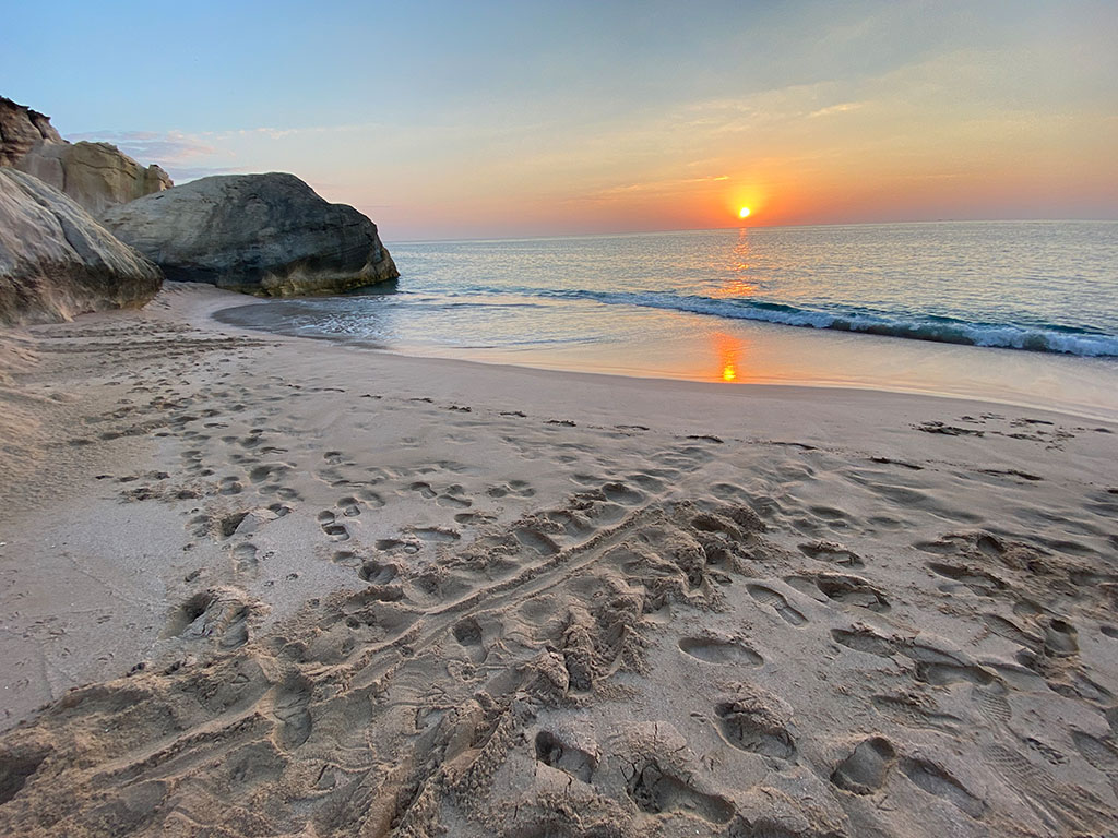 Schildkröten Beobachtung im Oman