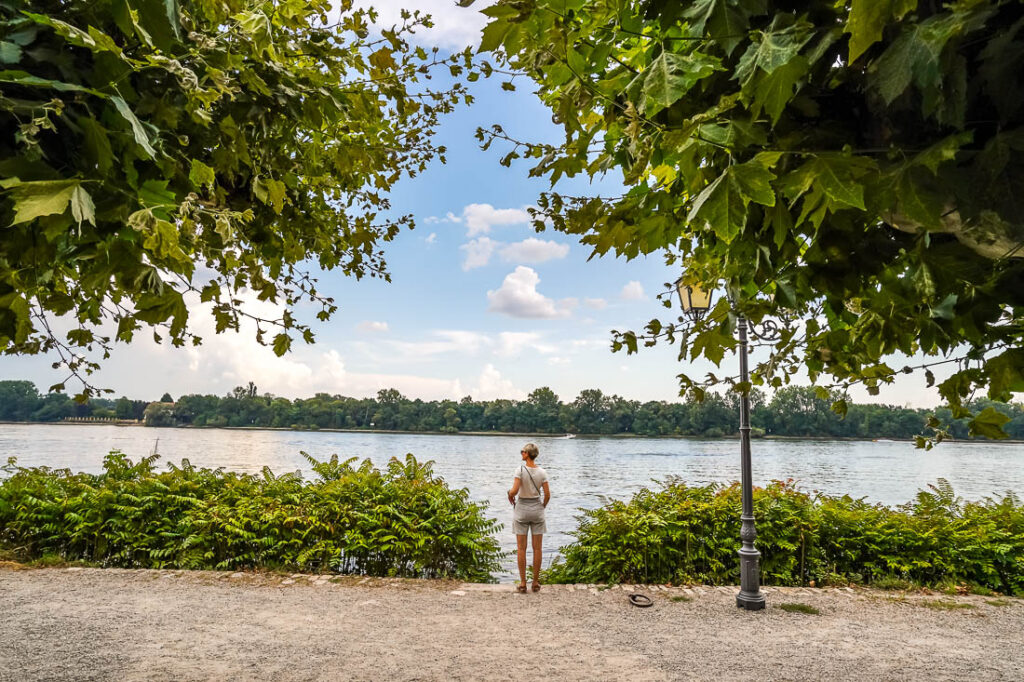 Eltville Promenade Rheingau