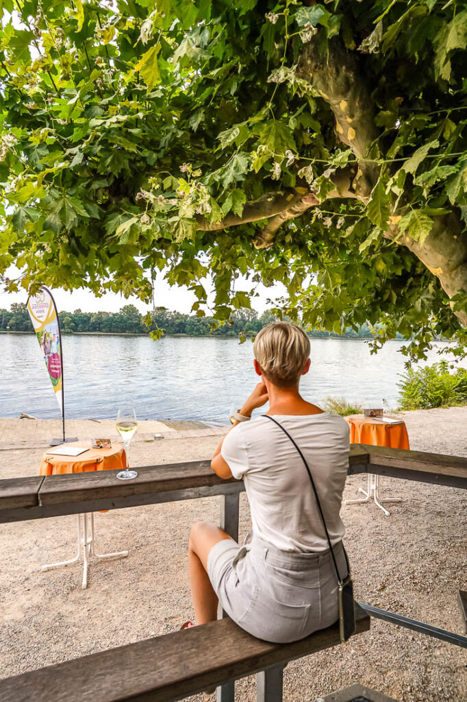 Eltville Promenade Rheingau
