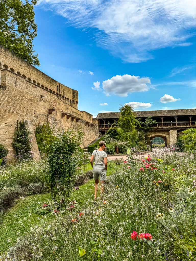 Kurfürstliche Burg – Eltville Rheingau