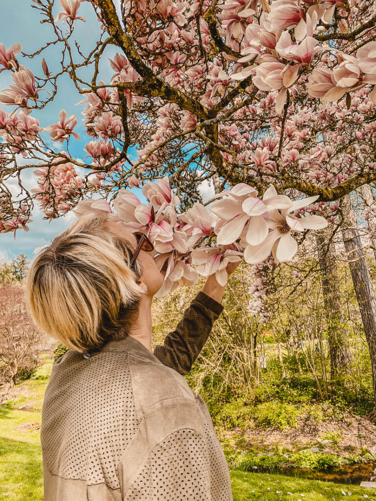 Kurpark Magnolien – Wiesbaden