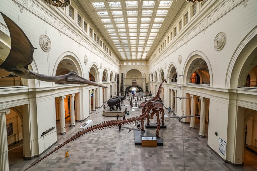 Field Museum of Natural History | Chicago Sehenswürdigkeiten