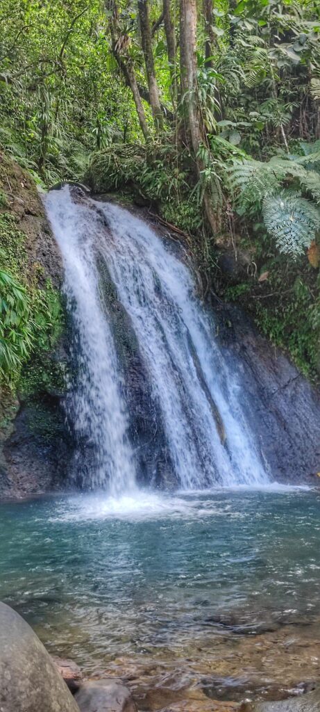 Es gibt unzählige Wasserfälle auf Guadeloupe – Écrevisses ist einer von ihnen und leicht zugänglich