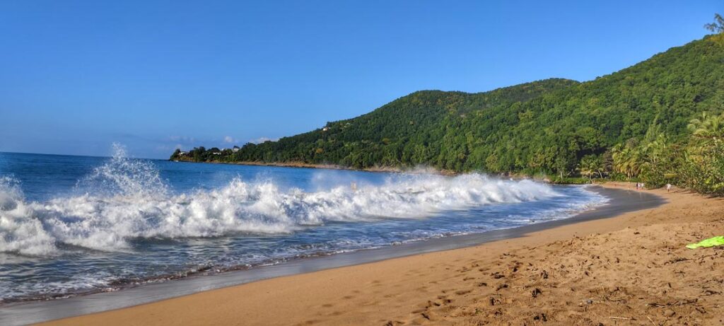 Die schönsten Strände auf Guadeloupe, zum Beispiel Deshaies