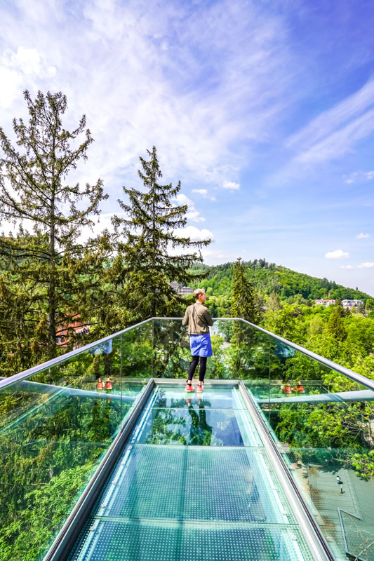 Der Glasboden beim Baumwipfelpfad in Bad Harzburg ist nicht für jeden etwas ...