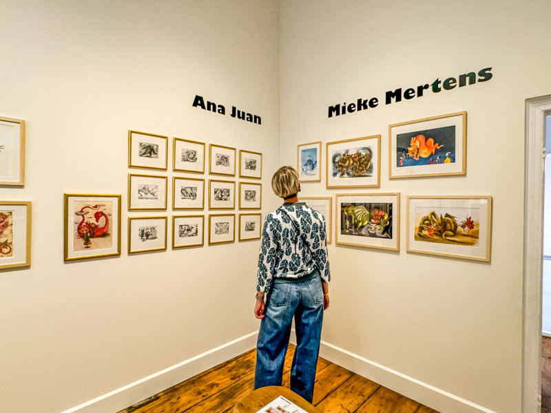 Villa Verbeelding oder Villa Imagination in Hasselt