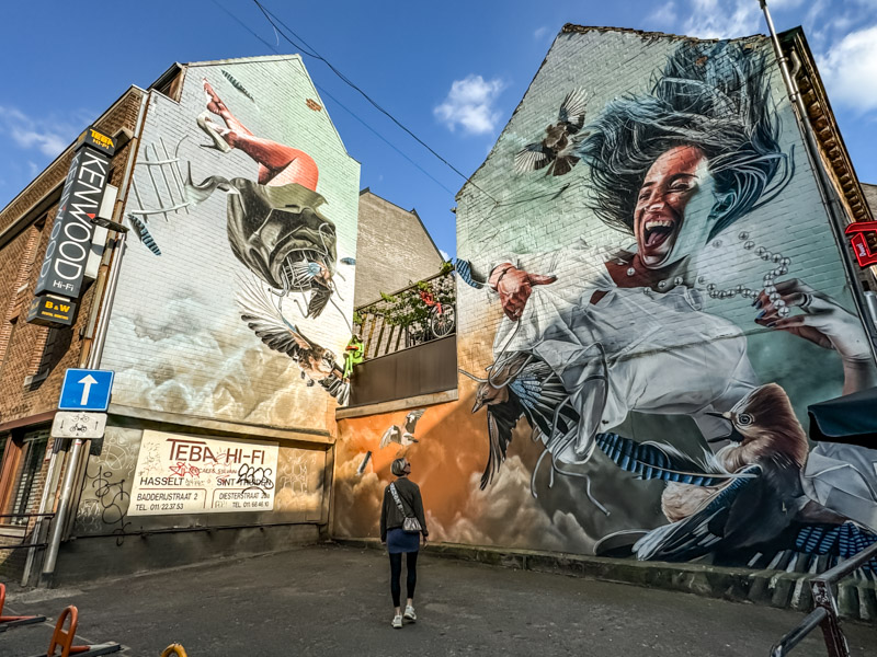 Beeindruckende Street Art in Hasselt