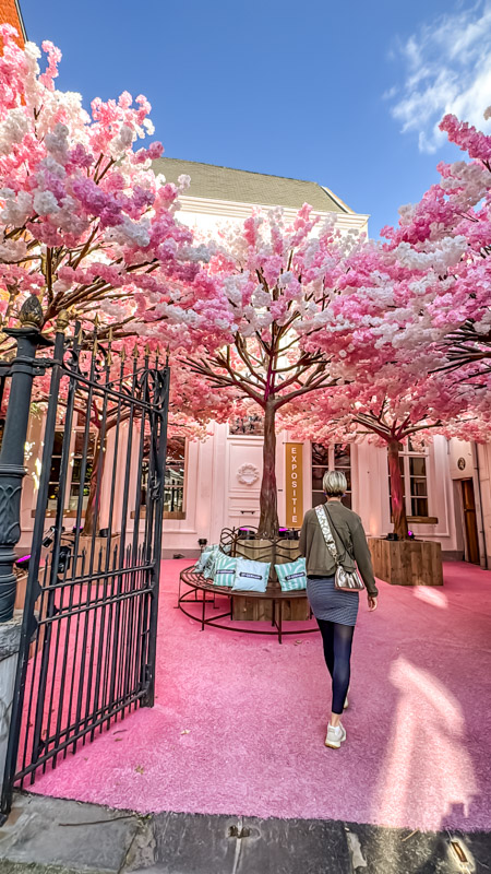 The Blossom Alley – eine bunte Sehenswürdigkeit in Hasselt 