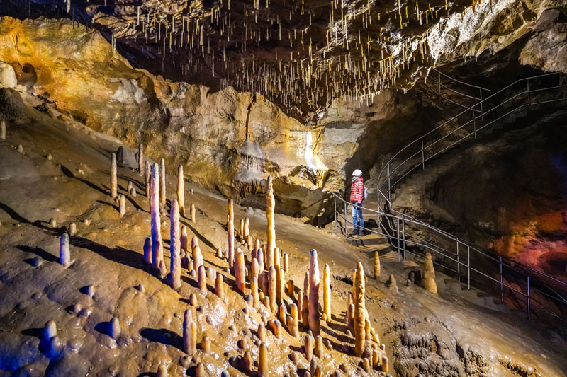 Die Teufelshöhe in Pottenstein ist ein Besuch wert! Wir geben dir noch mehr Tipps für Sehenswürdigkeiten in der Fränkischen Schweiz