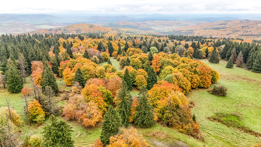 Wunderschöne Herbstfärbung im Thüringer Wald