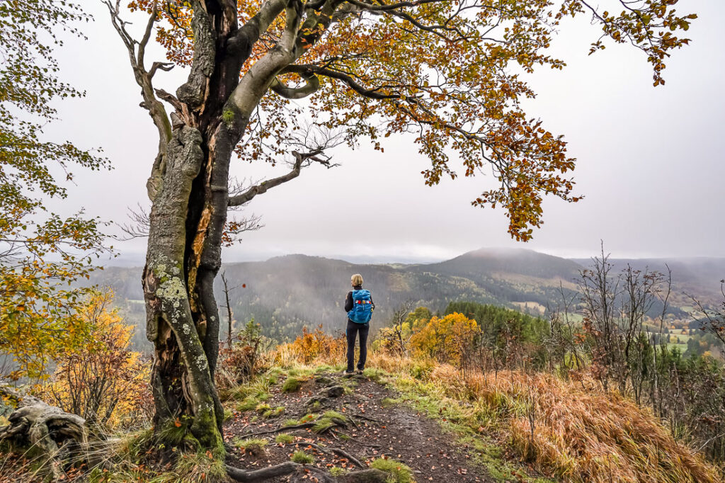 Traumhafter Ausblick auf der Oberschönauer Felsenwanderung – Oberhof Aktivitäten