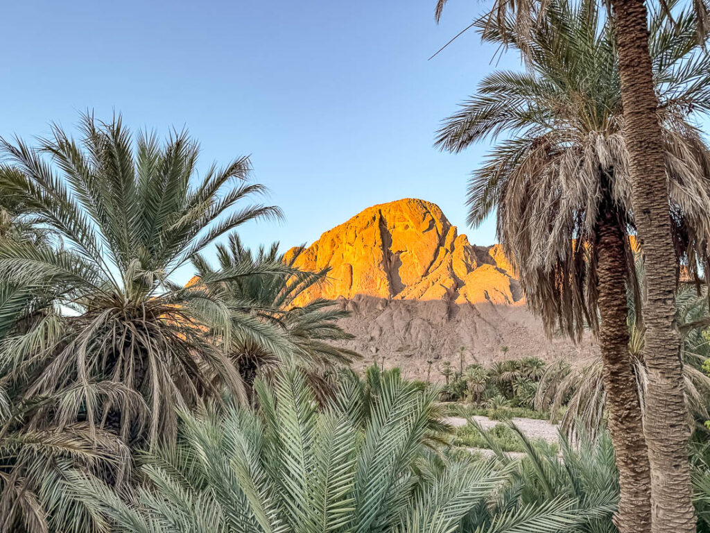 Die Oase Fint zum Sonnenuntergang, Marokko Reisetipps