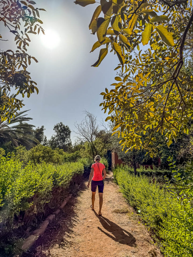 Besuch des Safrangartens Le Jardin du safran in Aghmat, Marokko