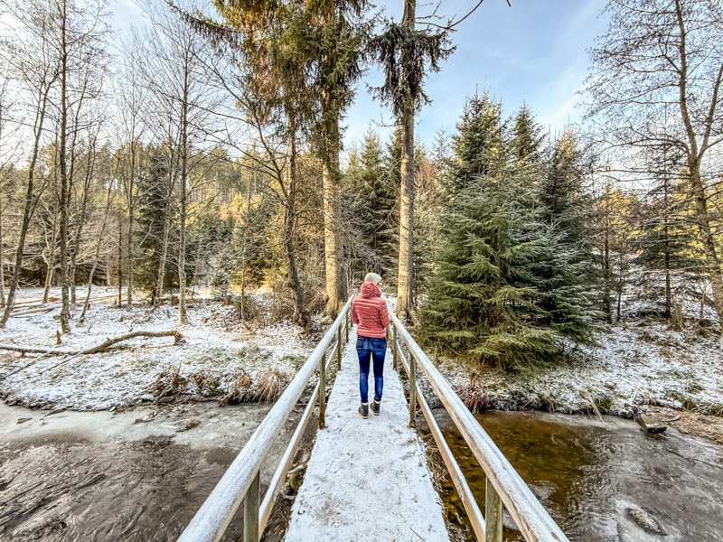 Die Rötenbachschlucht im Winter
