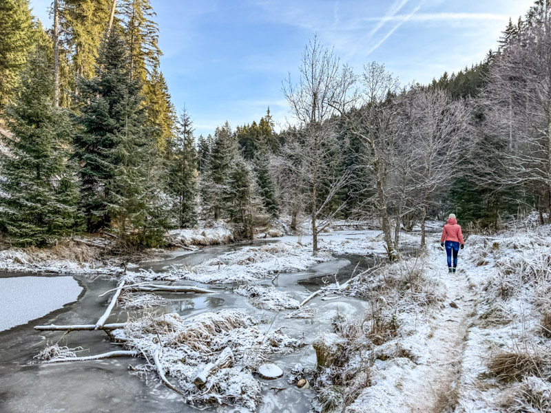 Traumhafte Winterlandschaft bei einem Winterurlaub im Schwarzwald