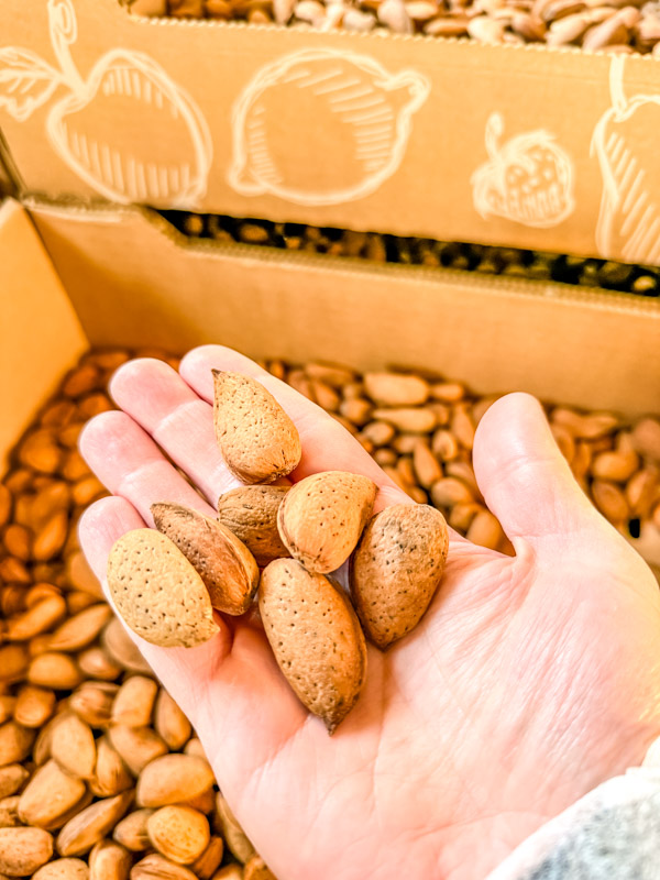 Leckere regional angepflanzte und produzierte Spezialitäten in der Inselmühle Usedom