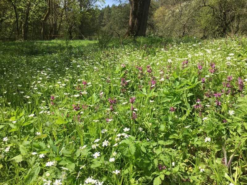 Unstrut-Radwanderroute_IMG_5605