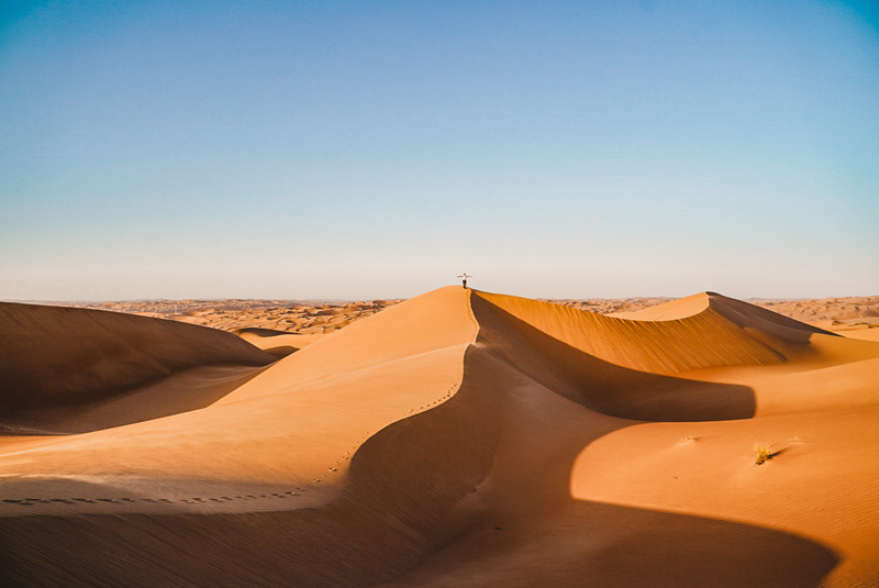 Wüstensafari – Abu Dhabi Reiseführer
