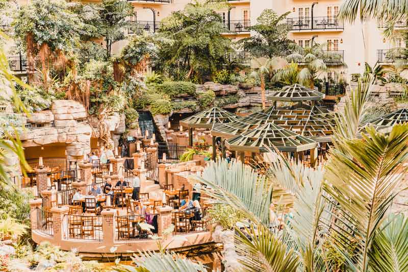 Flughafen BER Berlin Tropical