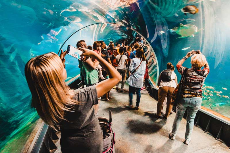 Flughafen BER Berlin Aquarium