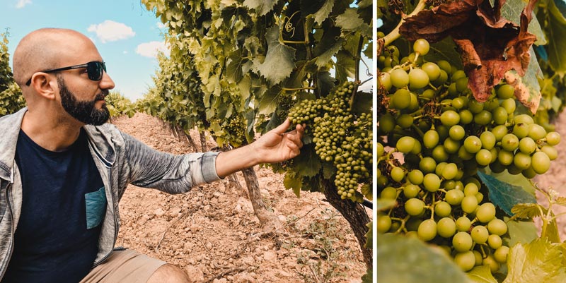 Malta Highlights Meridiana