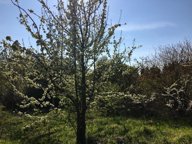 naturparkweg_leine-werra_IMG_5537