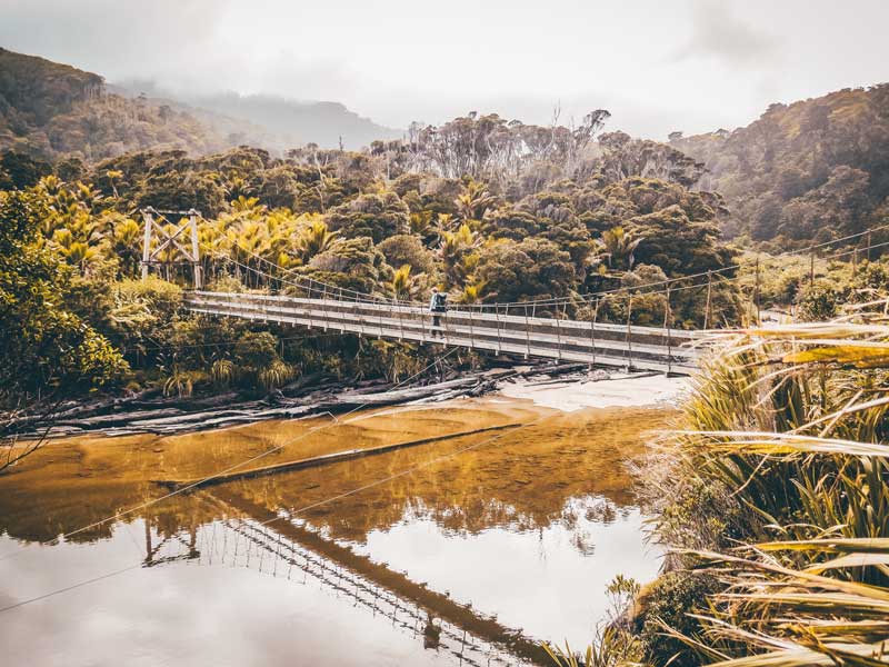 Neuseeland Südinsel Highlights Heaphy Track