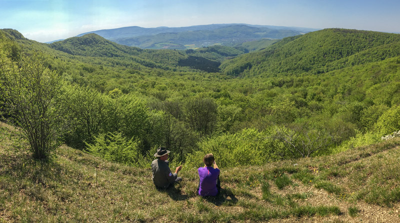 premiumwanderweg-p16_IMG_5972